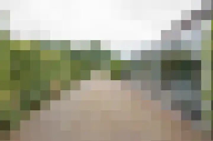Vinkebroeksestraat 8 Zeddam thumbnail 9
