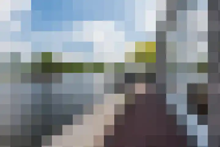 Vinkebuurt 122 C Zwammerdam thumbnail 40