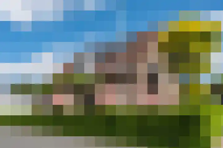 Vinkebuurt 122 C Zwammerdam thumbnail 43