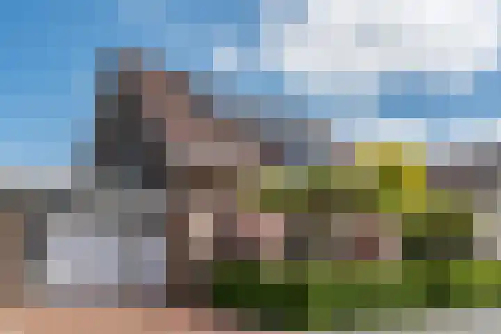 Vinkebuurt 122 C Zwammerdam thumbnail 44