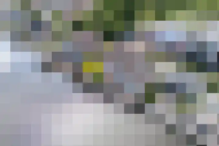 Vinkebuurt 122 C Zwammerdam thumbnail 46
