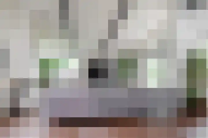 Vinkedelstraat 1 Simpelveld thumbnail 10