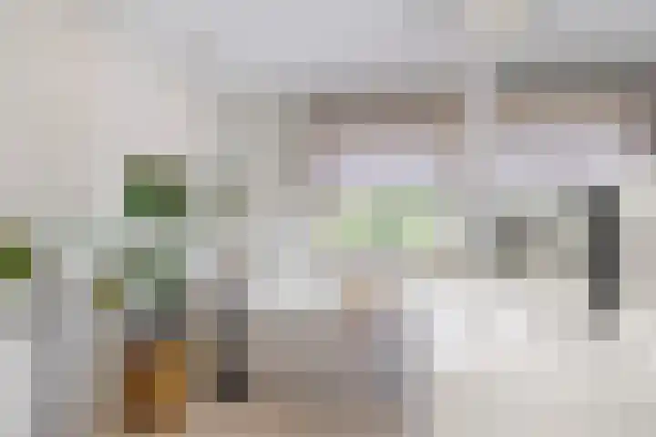Vinkedelstraat 1 Simpelveld thumbnail 23