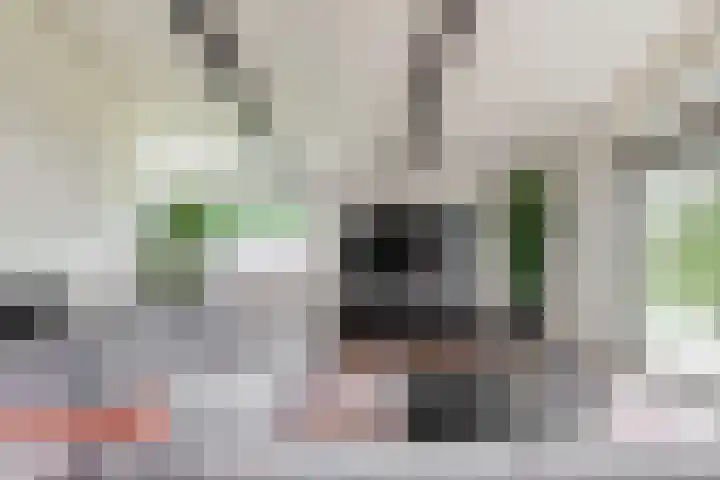 Vinkedelstraat 1 Simpelveld thumbnail 4