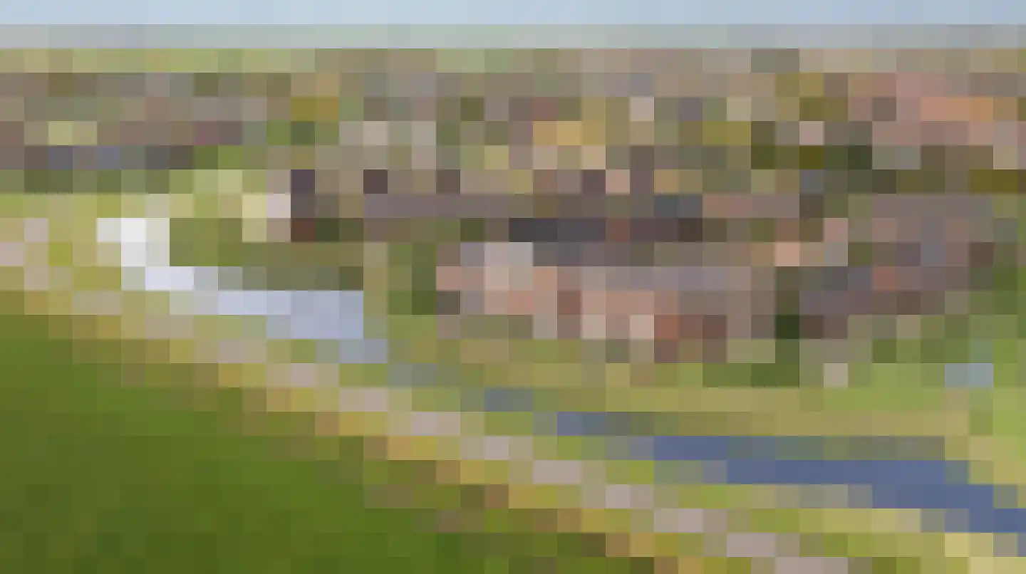 Vinkekooi 6 Strijen thumbnail 10