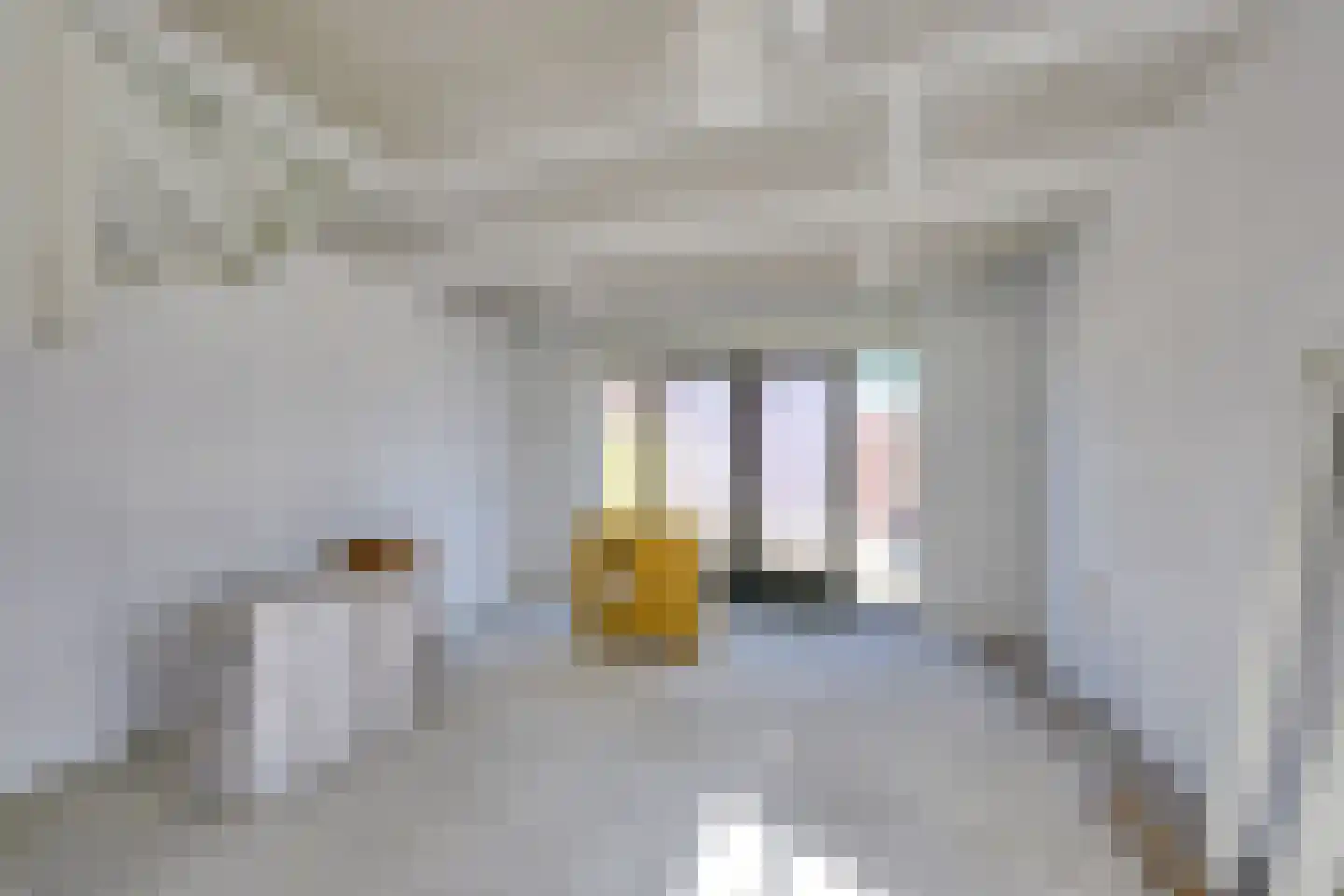 Vinkekooi 8 Strijen thumbnail 13