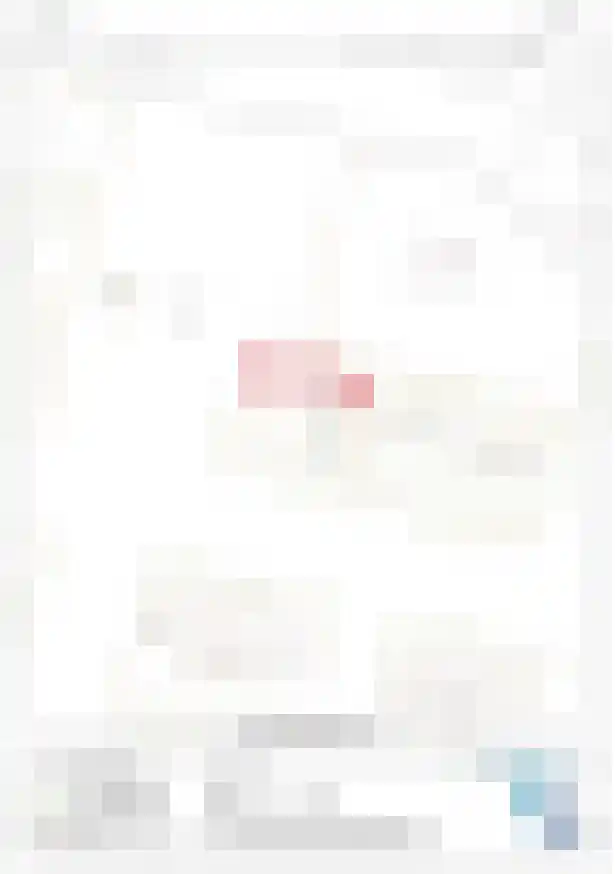 Vinkekooi 8 Strijen thumbnail 21