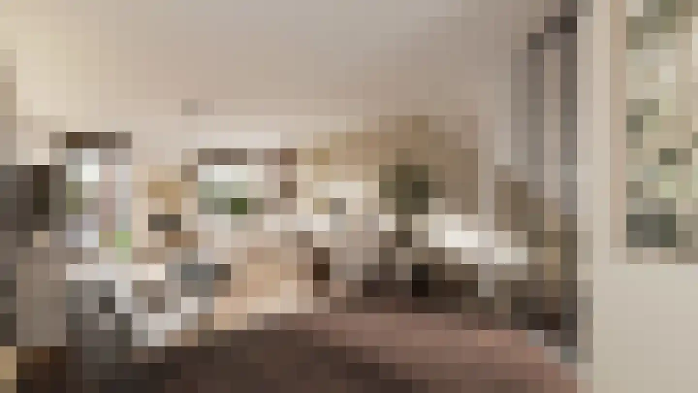 Vinkekooi 8 Strijen thumbnail 4