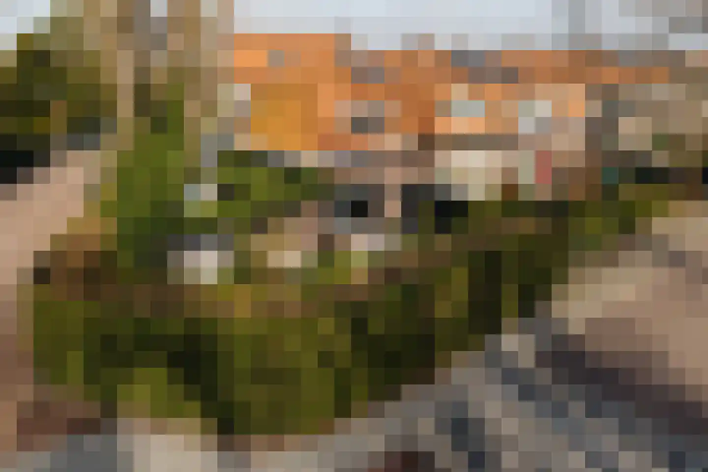 Vinkelaan 1 dans Wassenaar