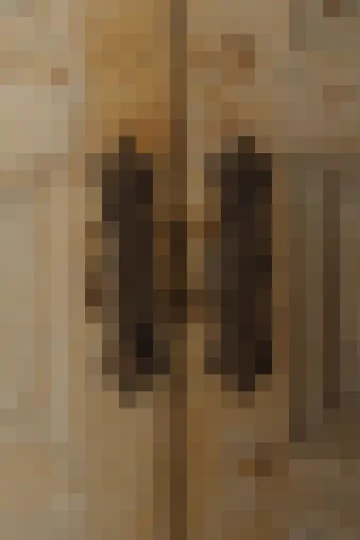 Vinkelaan 1 Wassenaar thumbnail 11