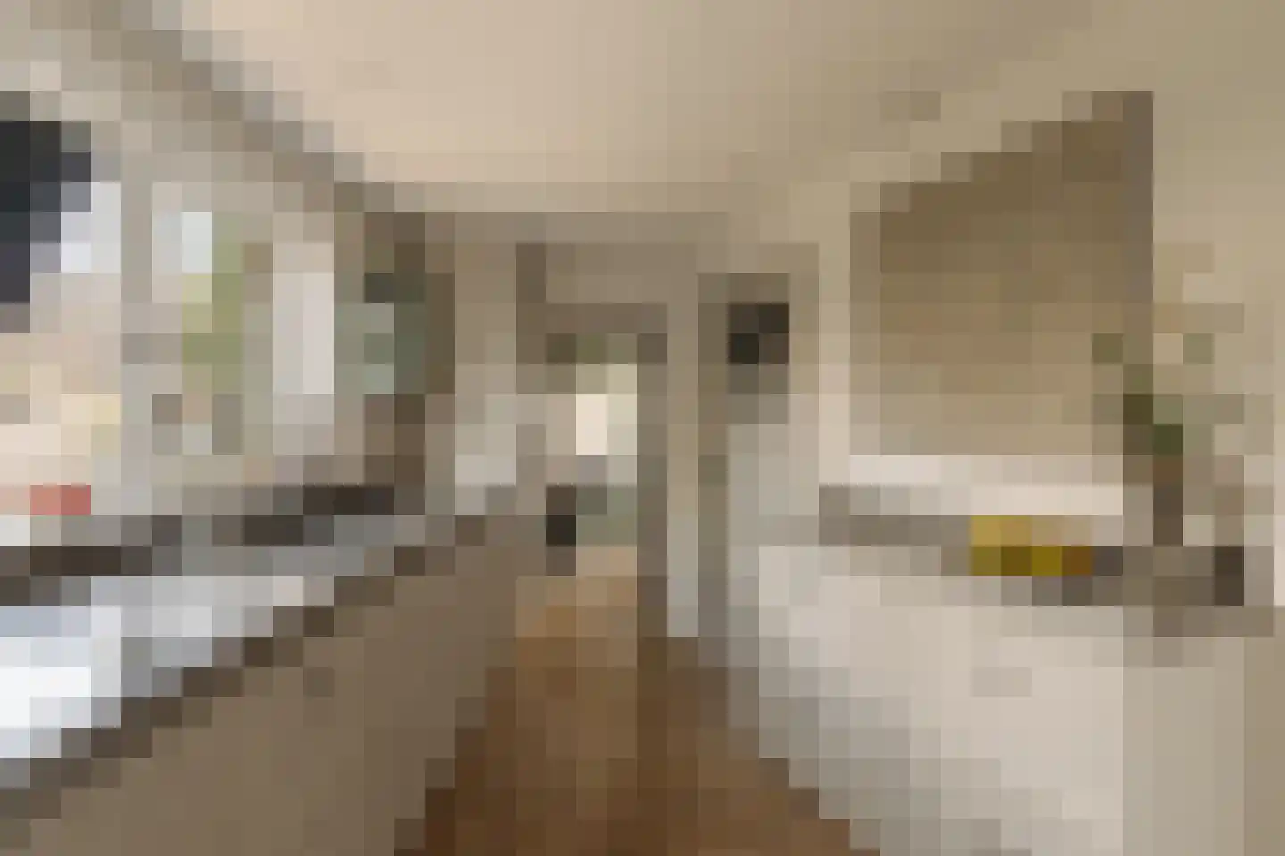 Vinkelaan 1 Wassenaar thumbnail 12