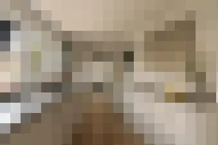 Vinkelaan 1 Wassenaar thumbnail 12