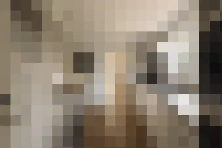 Vinkelaan 1 Wassenaar thumbnail 15