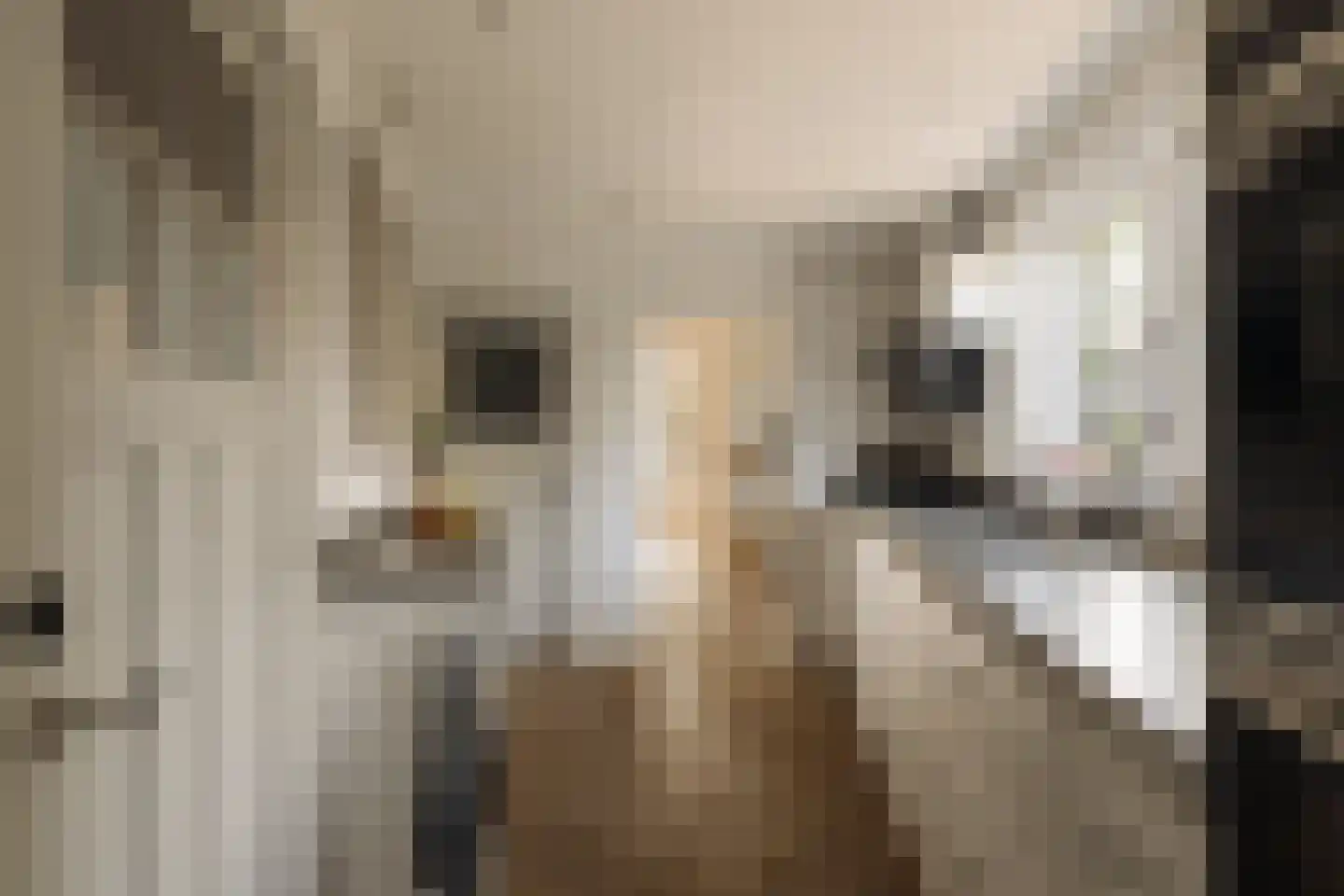 Vinkelaan 1 Wassenaar thumbnail 15