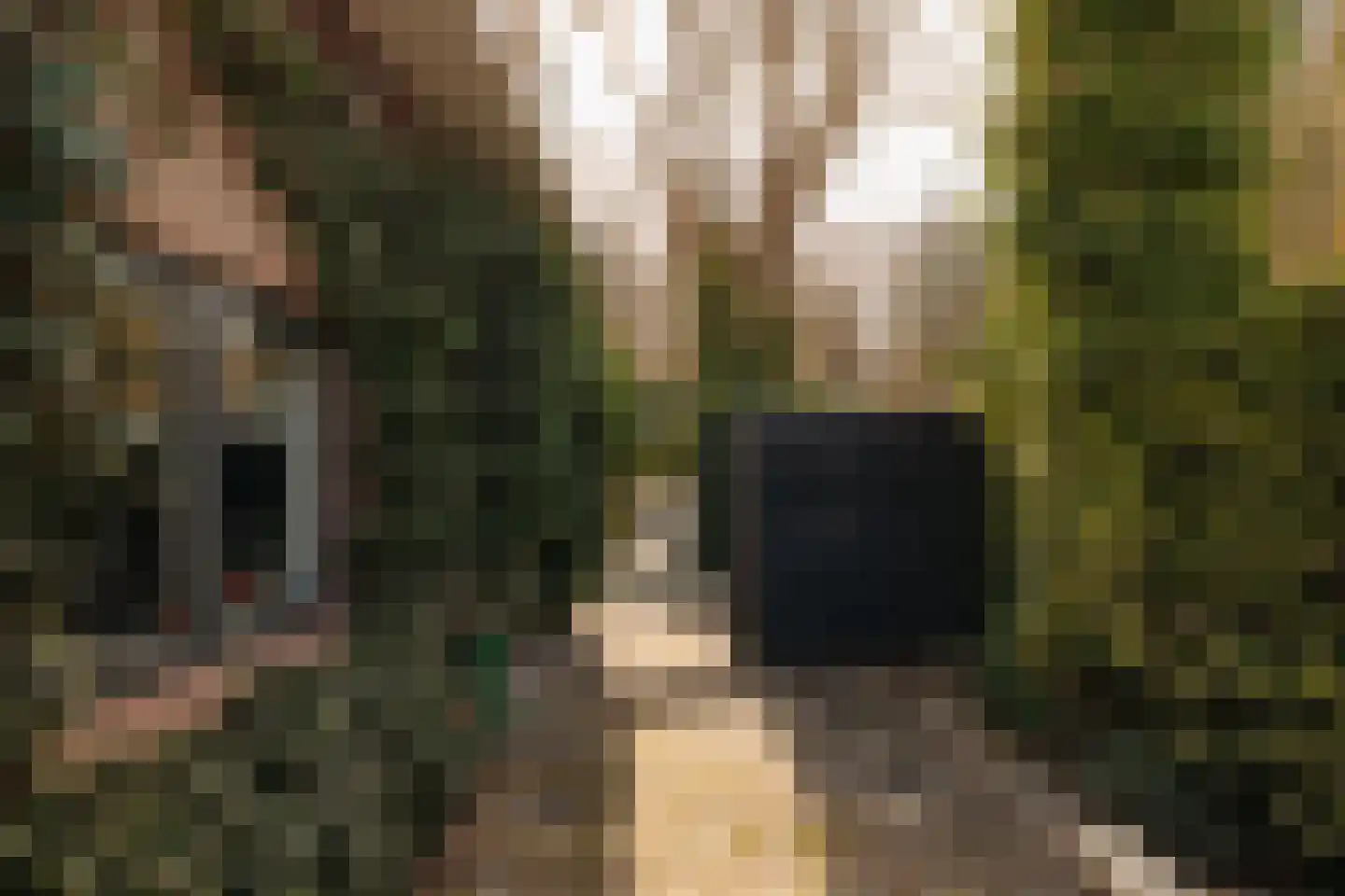 Vinkelaan 1 Wassenaar thumbnail 20