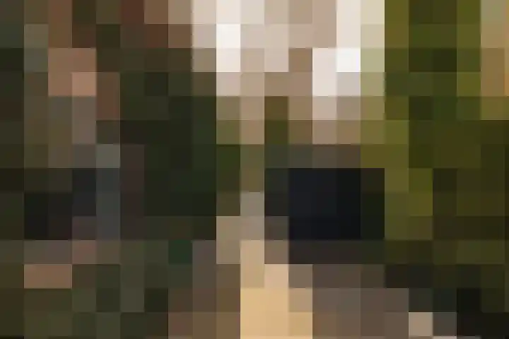 Vinkelaan 1 Wassenaar thumbnail 20
