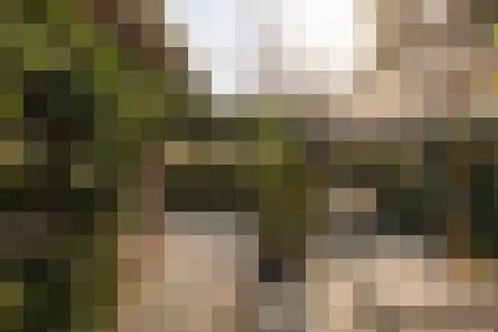 Vinkelaan 1 Wassenaar thumbnail 21