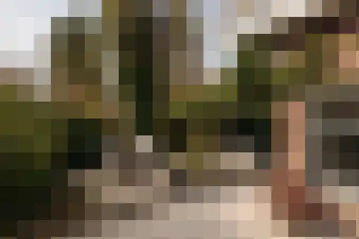Vinkelaan 1 Wassenaar thumbnail 22