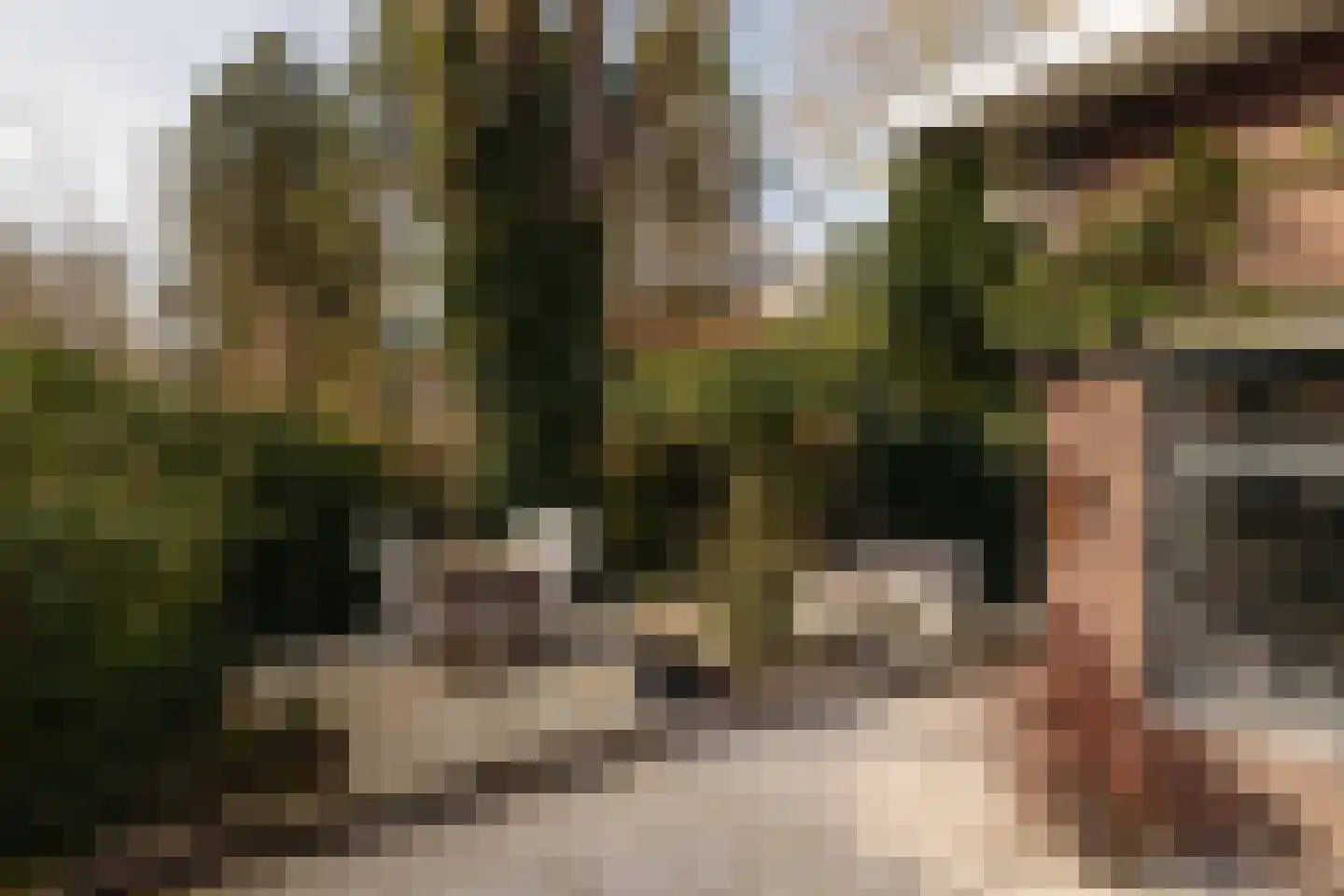 Vinkelaan 1 Wassenaar thumbnail 22
