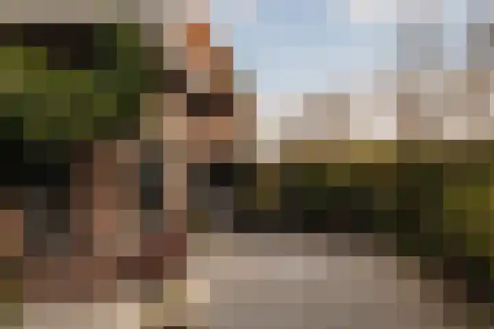 Vinkelaan 1 Wassenaar thumbnail 23