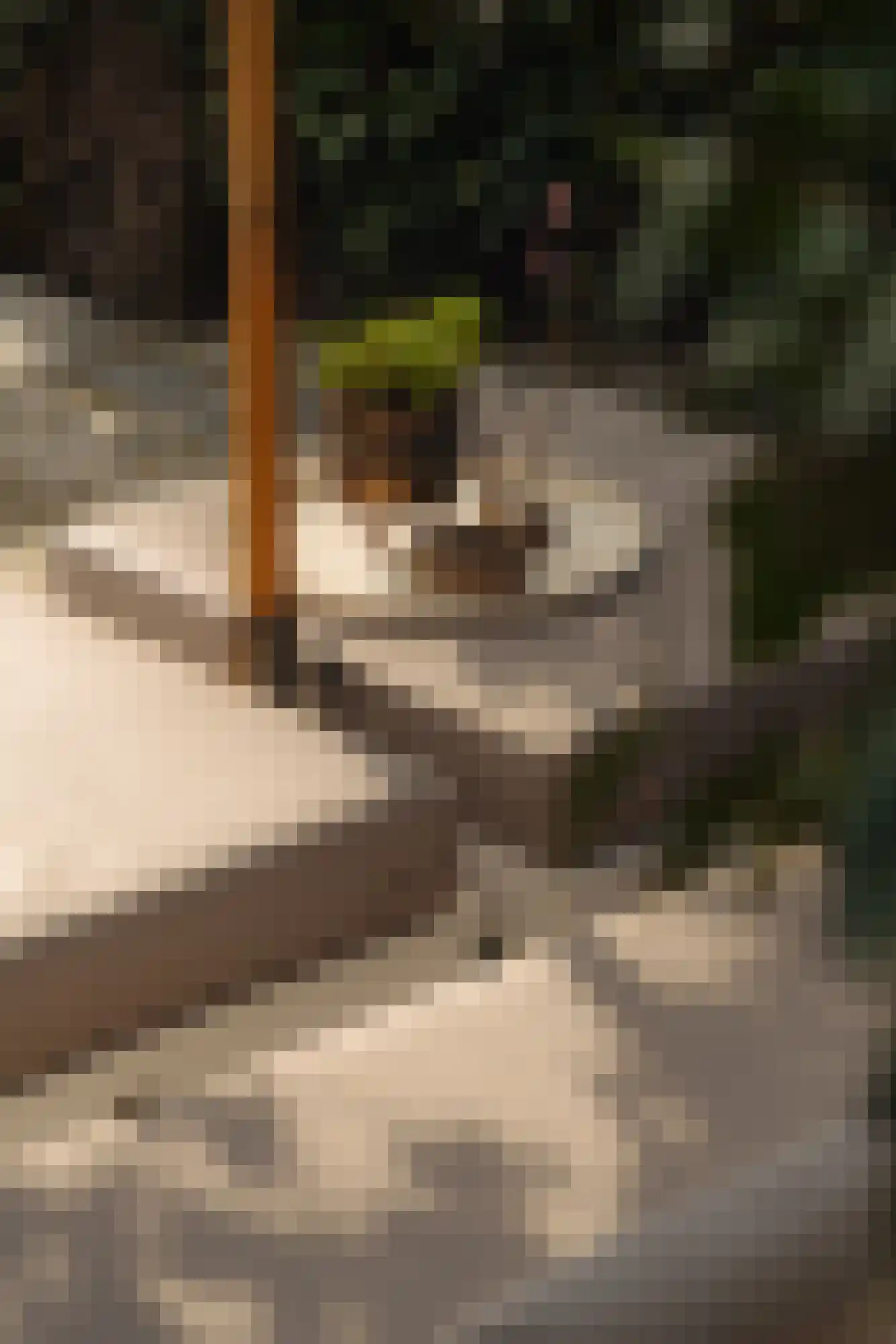 Vinkelaan 1 Wassenaar thumbnail 25