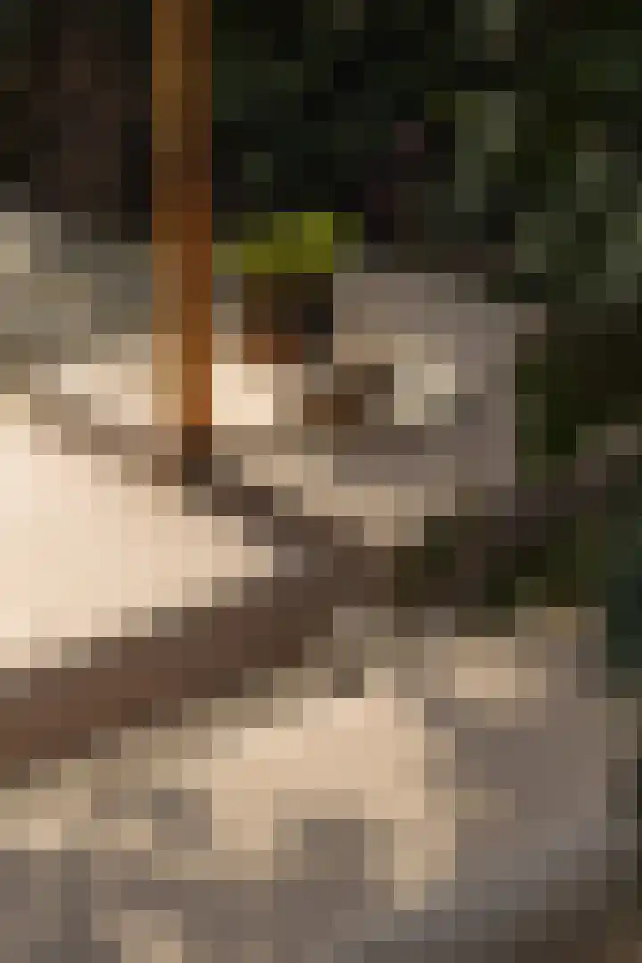 Vinkelaan 1 Wassenaar thumbnail 25