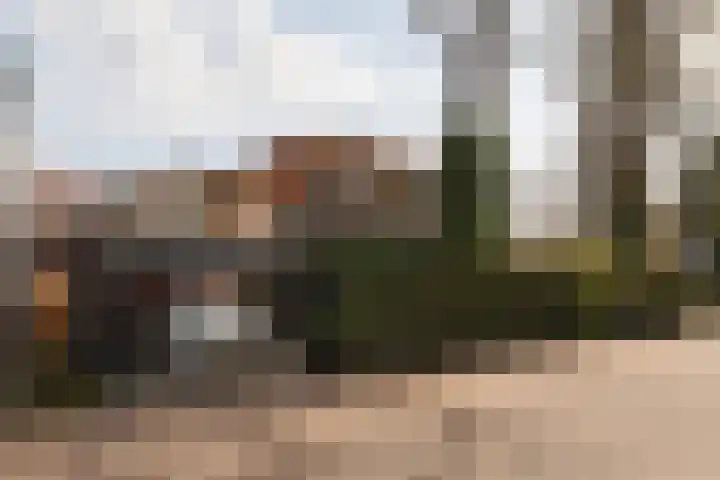 Vinkelaan 1 Wassenaar thumbnail 27