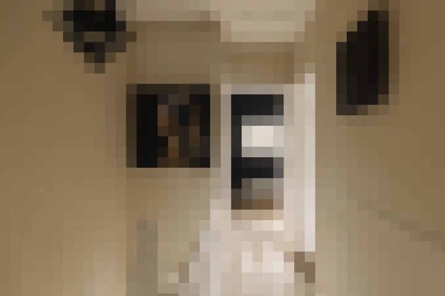 Vinkelaan 1 Wassenaar thumbnail 28