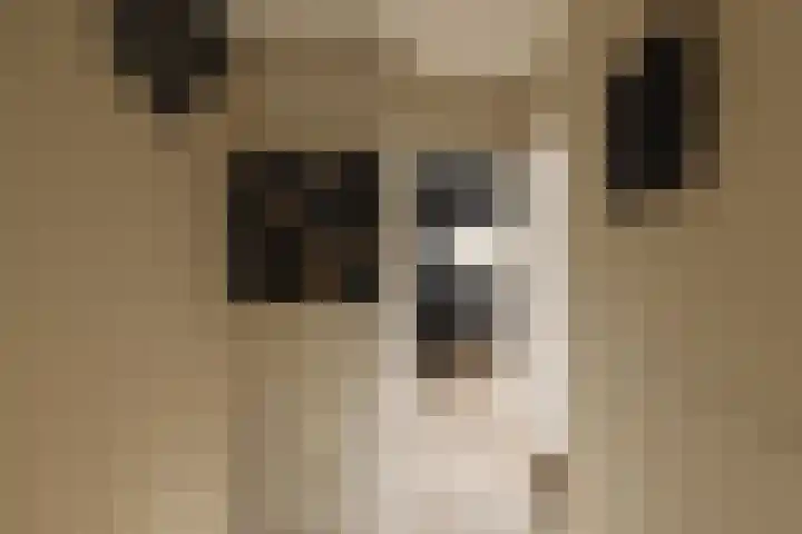 Vinkelaan 1 Wassenaar thumbnail 28