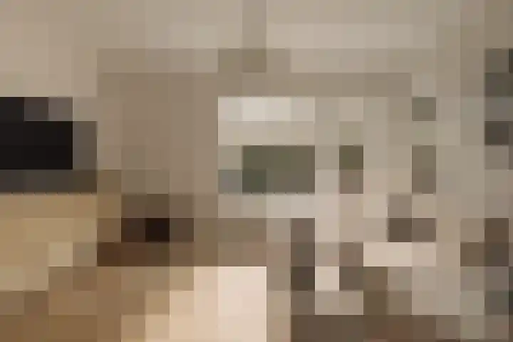 Vinkelaan 1 Wassenaar foto 3