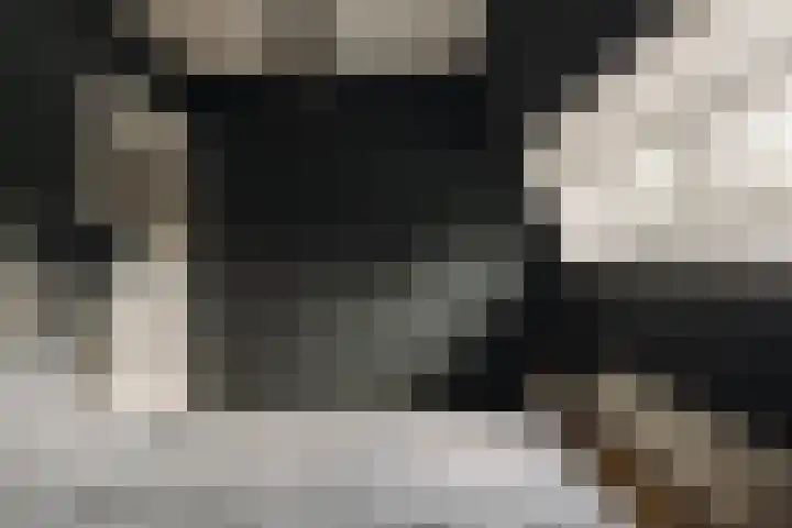 Vinkelaan 1 Wassenaar thumbnail 30