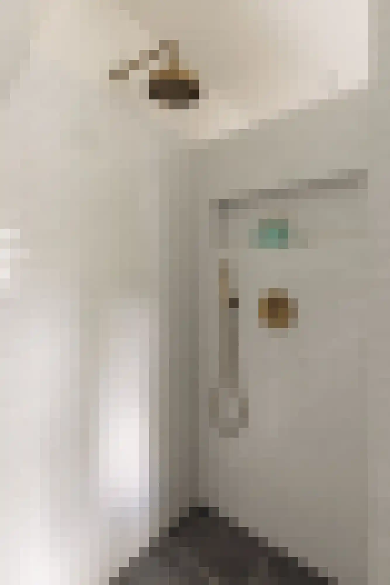 Vinkelaan 1 Wassenaar thumbnail 37