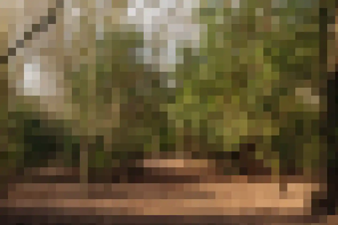 Vinkelaan 1 Wassenaar thumbnail 38