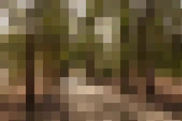 Vinkelaan 1 Wassenaar thumbnail 39