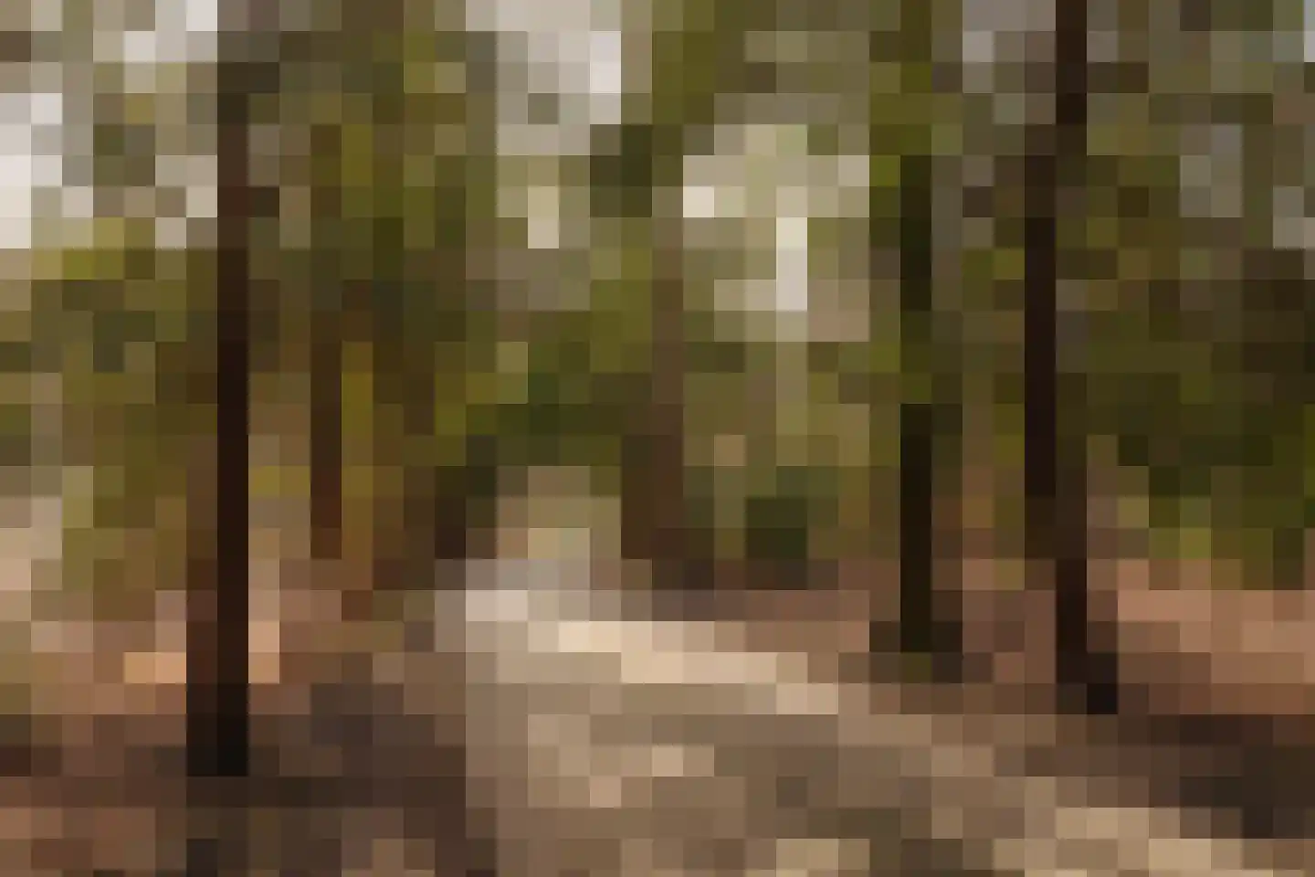 Vinkelaan 1 Wassenaar thumbnail 39