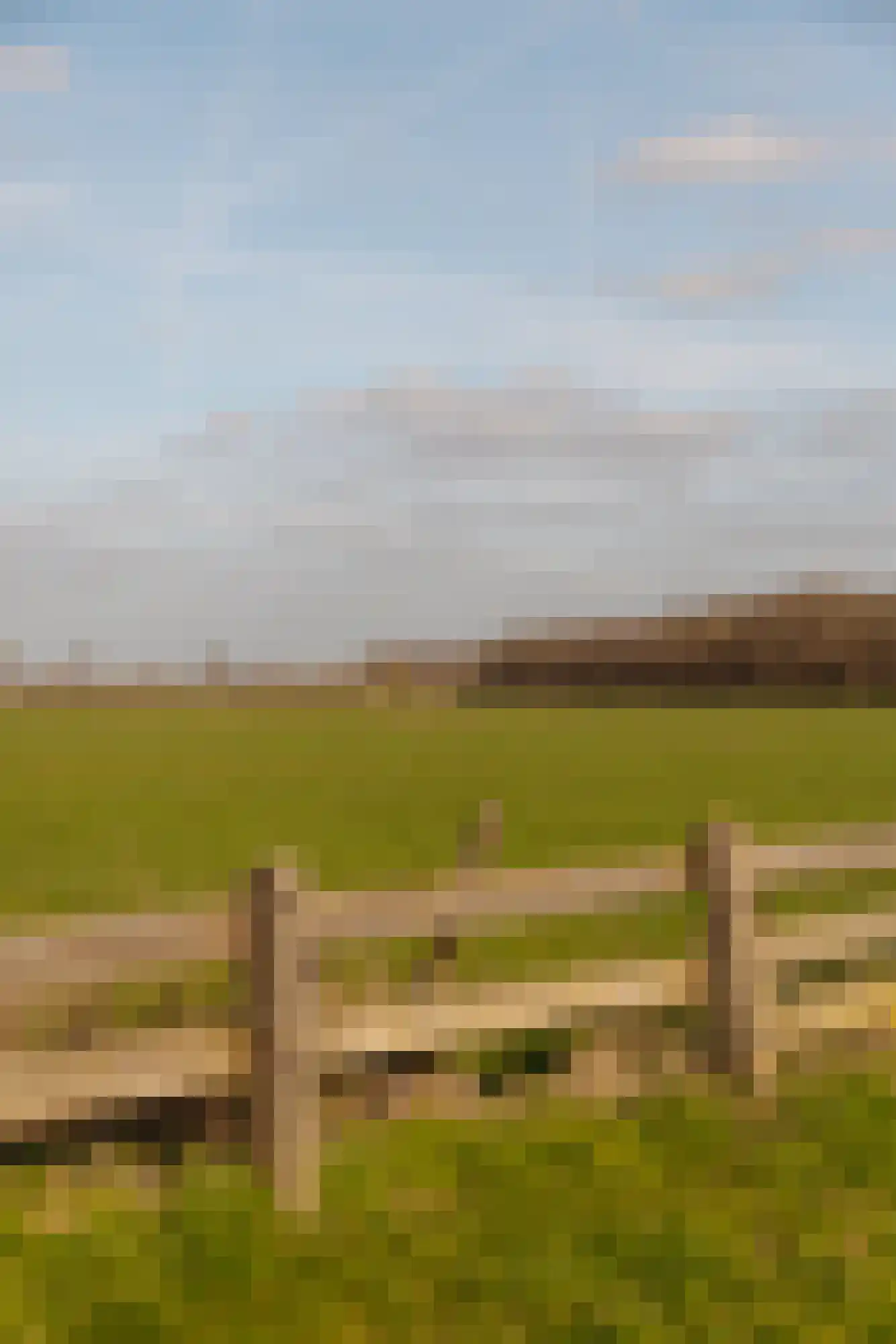 Vinkelaan 1 Wassenaar thumbnail 40