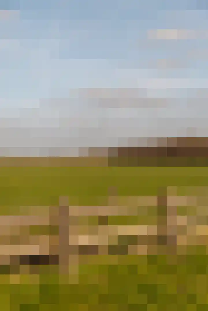 Vinkelaan 1 Wassenaar thumbnail 40