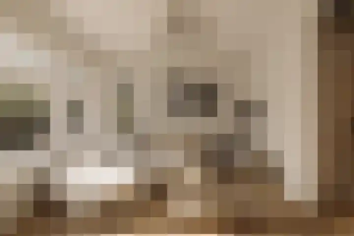 Vinkelaan 1 Wassenaar thumbnail 7
