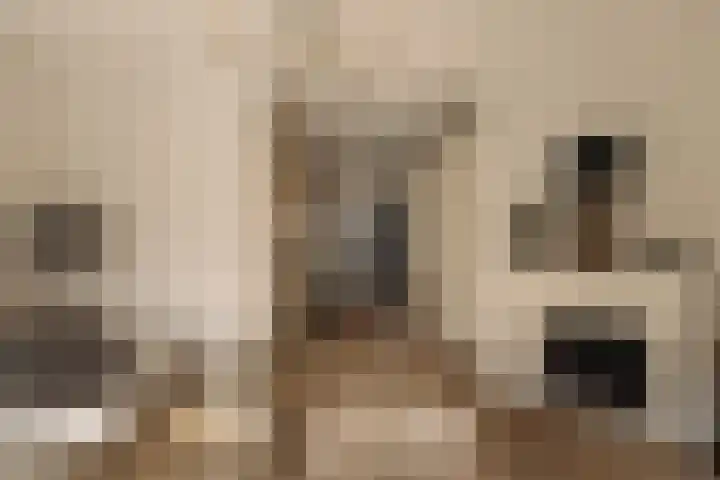 Vinkelaan 1 Wassenaar thumbnail 8