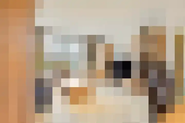 Vinkelaan 221 Helmond thumbnail 17