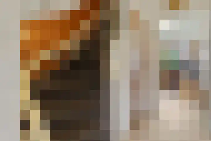 Vinkelaan 221 Helmond thumbnail 19