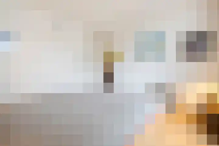 Vinkelaan 221 Helmond thumbnail 21