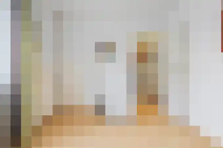 Vinkelaan 221 Helmond thumbnail 23