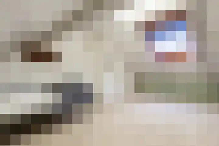 Vinkelaan 221 Helmond thumbnail 31