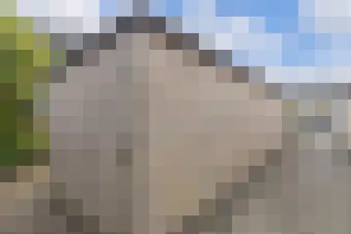 Vinkelaan 221 Helmond thumbnail 34