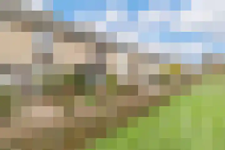 Vinkelaan 221 Helmond thumbnail 37