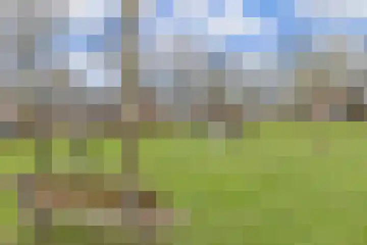 Vinkelaan 221 Helmond thumbnail 38