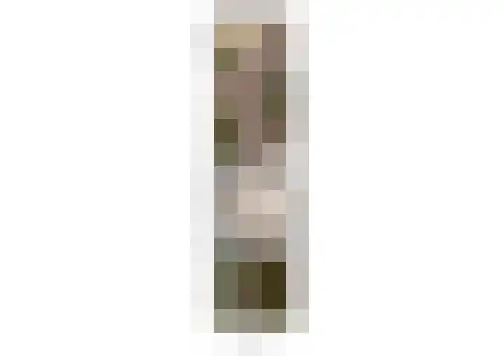 Vinkelaan 221 Helmond thumbnail 39