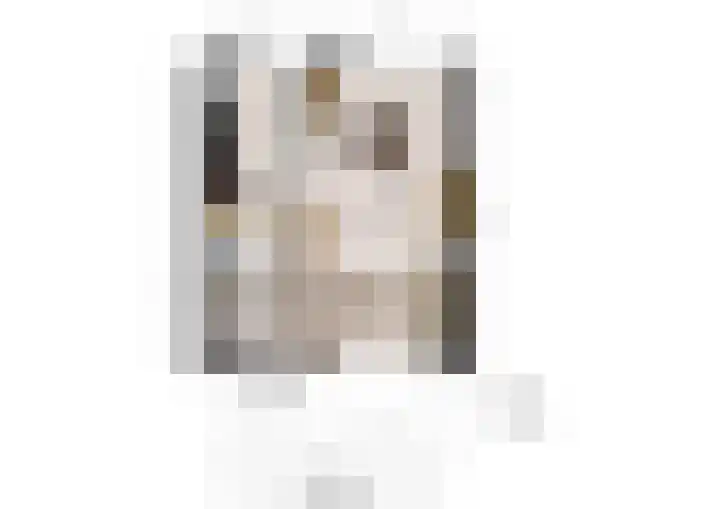 Vinkelaan 221 Helmond thumbnail 41
