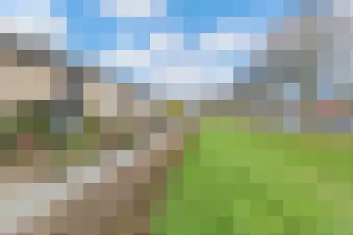 Vinkelaan 221 Helmond thumbnail 5